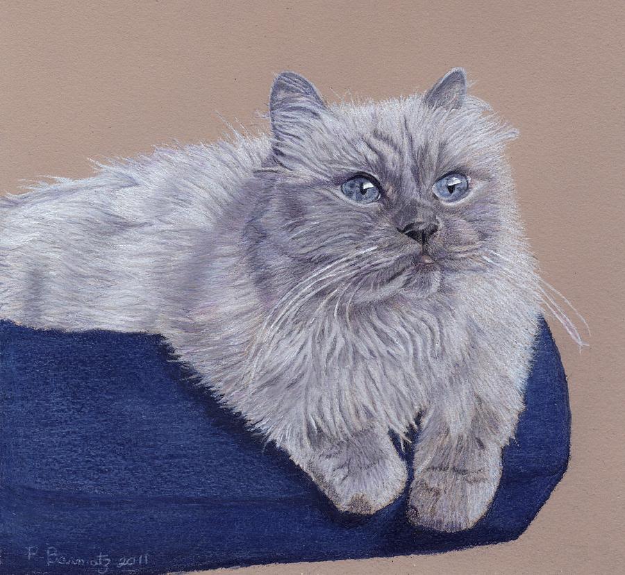Cats Painting - Bayou - Portrait Of A Himalayan by Patricia Barmatz Cats Painting - Bayou - Portrait Of A Himalayan by Patricia Barmatz
