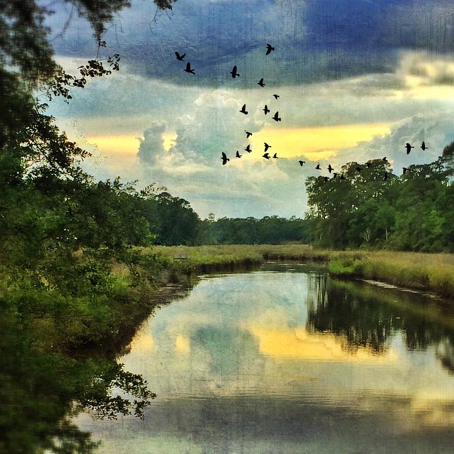 Water Photograph - Bayou Reflections #distressedfx #sky by Joan McCool