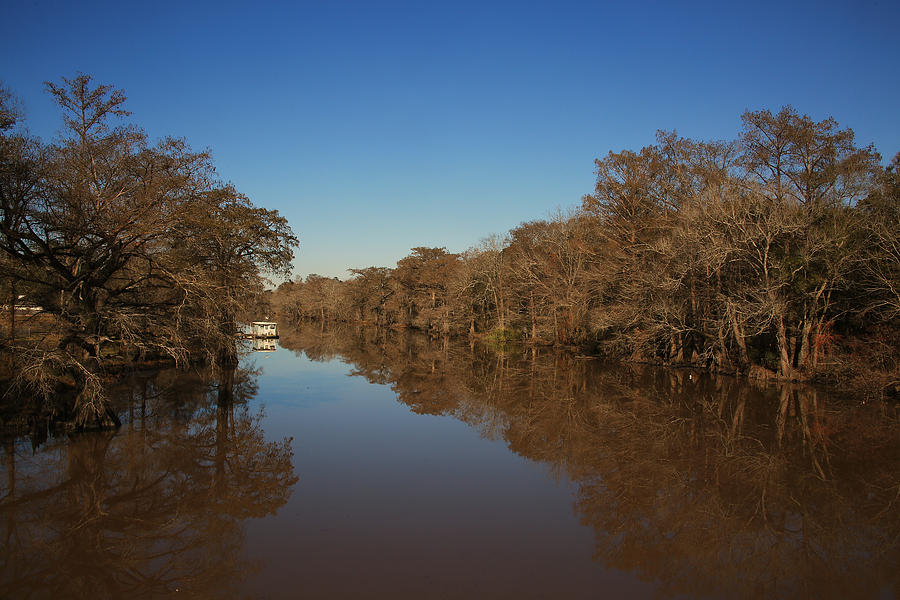 Bayou Teche Louisiana Photograph by Ronald Olivier - Pixels