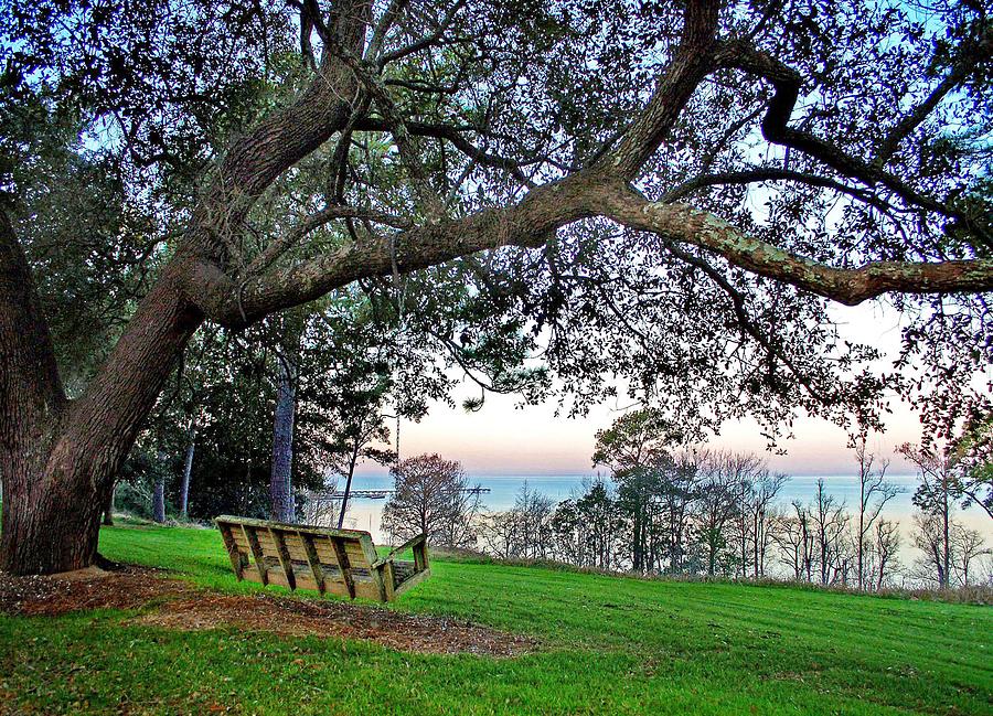 Bayview Swing Under the Tree Photograph by Michael Thomas