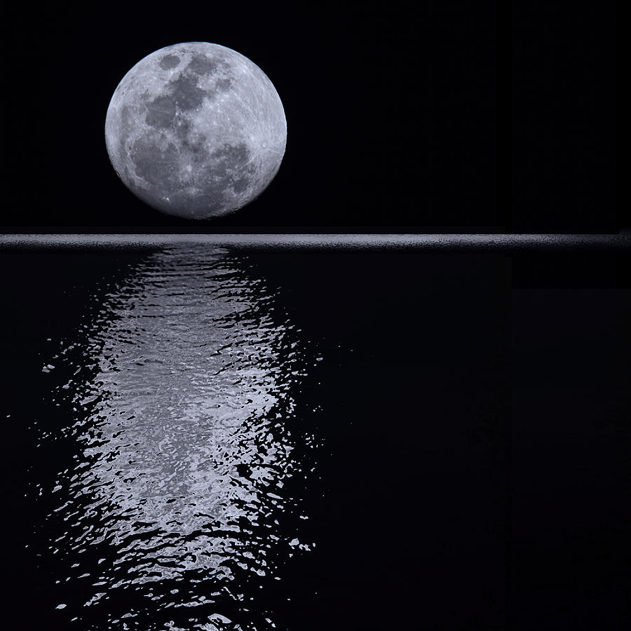 Nature Photograph - BB Moon by Agustin Uzarraga