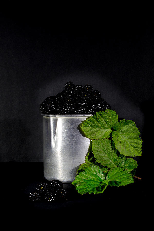 Nature Photograph - Blackberries by Edgar Laureano
