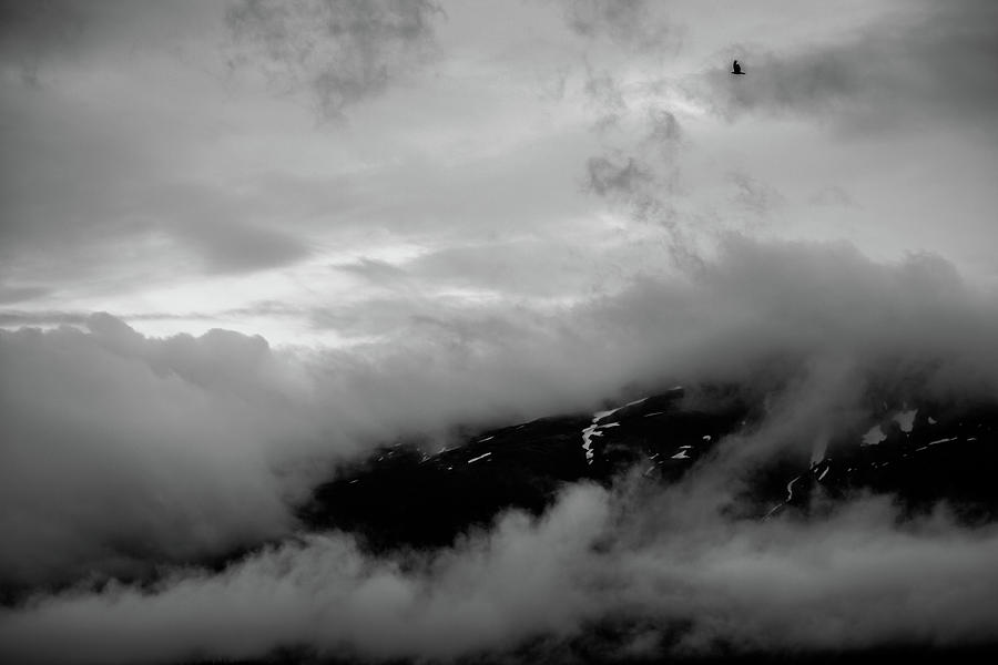 BC Mist Photograph by Ryan Heffron