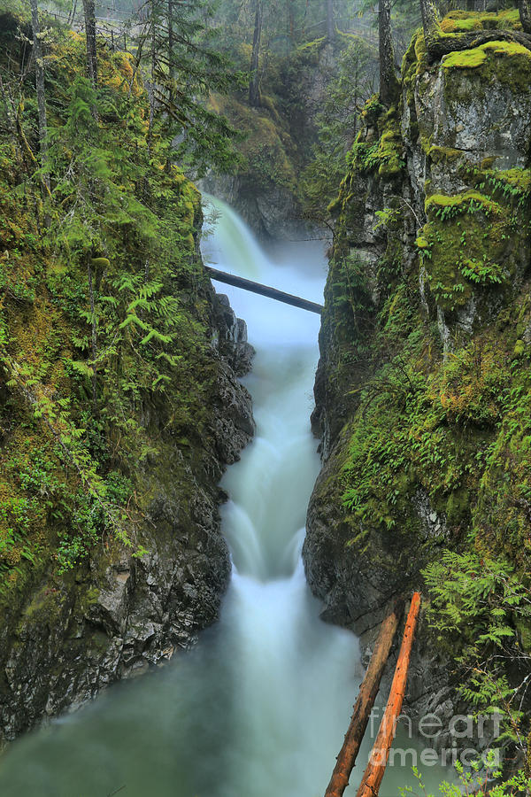 BC Rainforest Waterfall Photograph by Adam Jewell