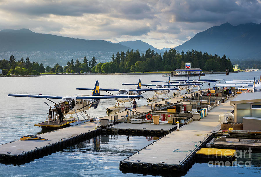 BC Seaplanes Photograph by Inge Johnsson