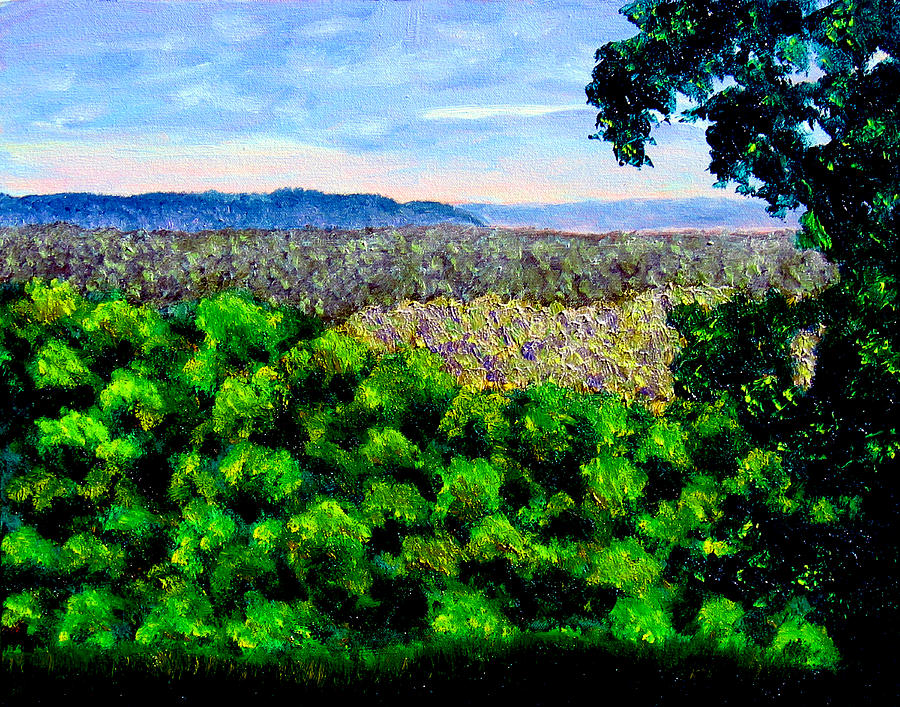 bcsp Pan Painting by Stan Hamilton