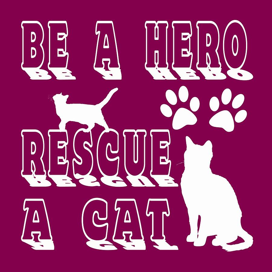 Be A Hero Rescue A Cat Digital Art by David G Paul