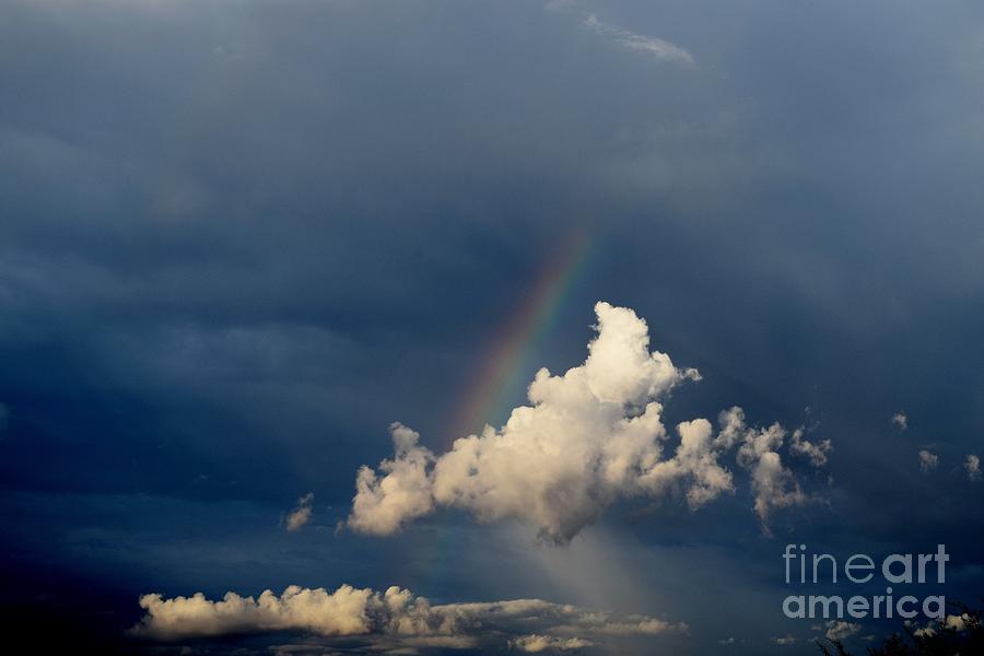 Summer Photograph - Be A Rainbow In Someones Cloud by Janet Marie