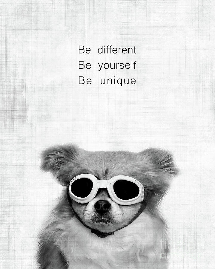 Be different be yoursef be unique Photograph by Delphimages Photo Creations