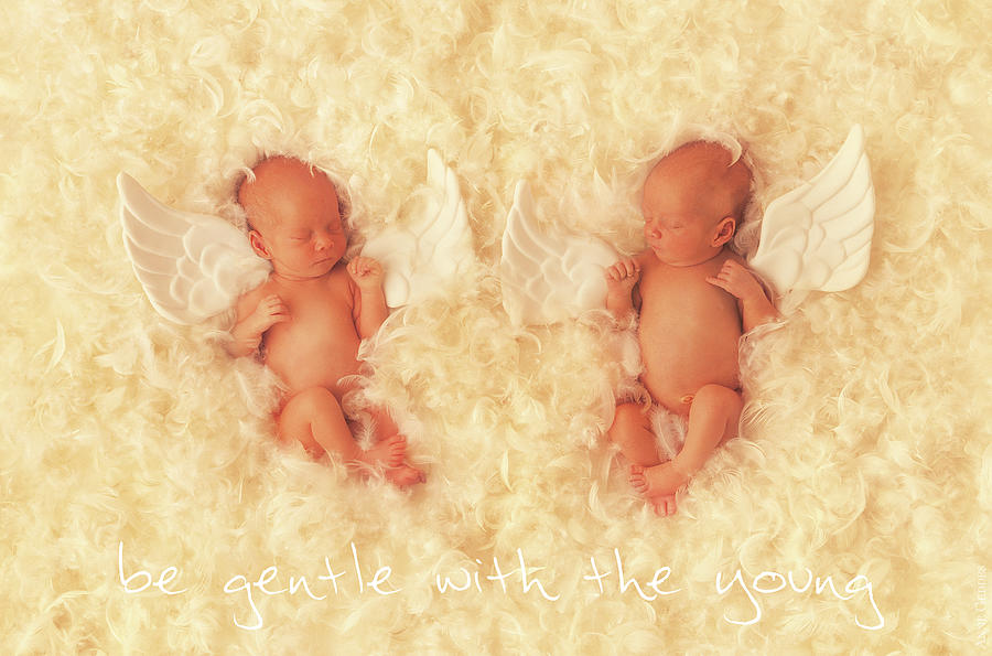 Be Gentle With The Young Photograph by Anne Geddes