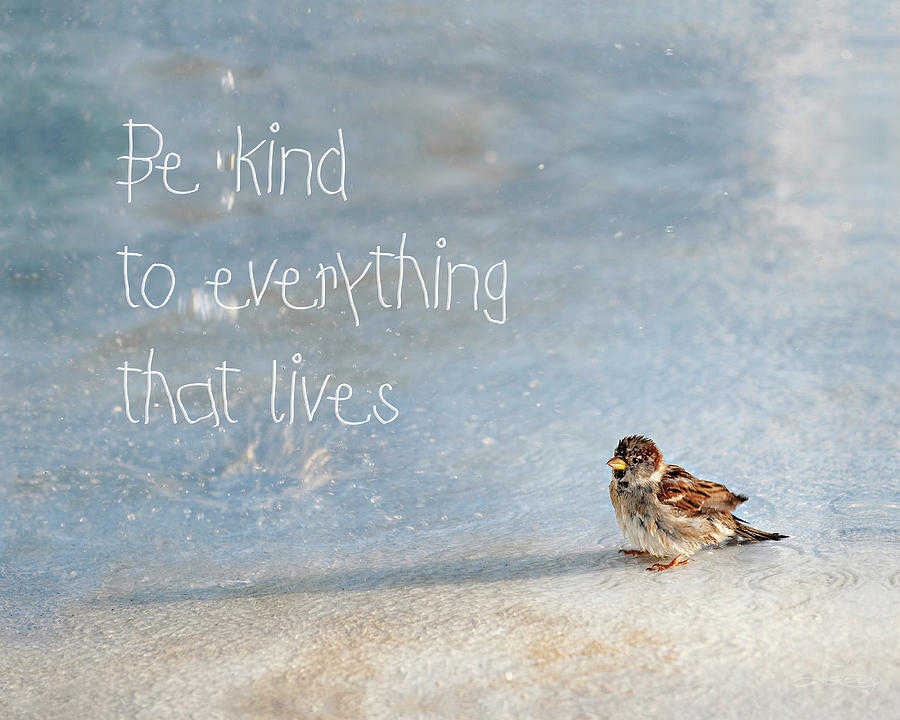 Be Kind Photograph by Jill Love