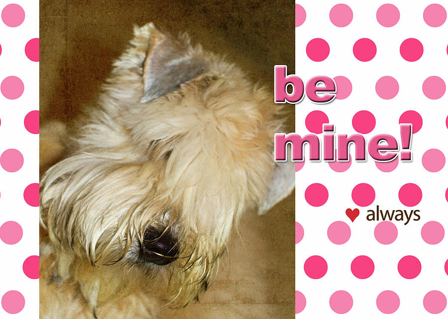 Be Mine Photograph by Rebecca Cozart
