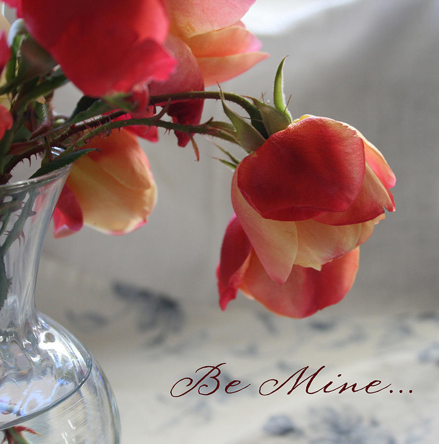 Be Mine Roses Photograph by Marna Edwards Flavell