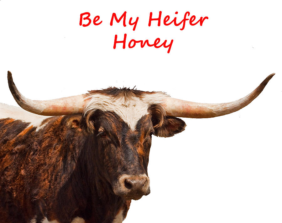 Be My Heifer Honey Digital Art by Daniel Hebard