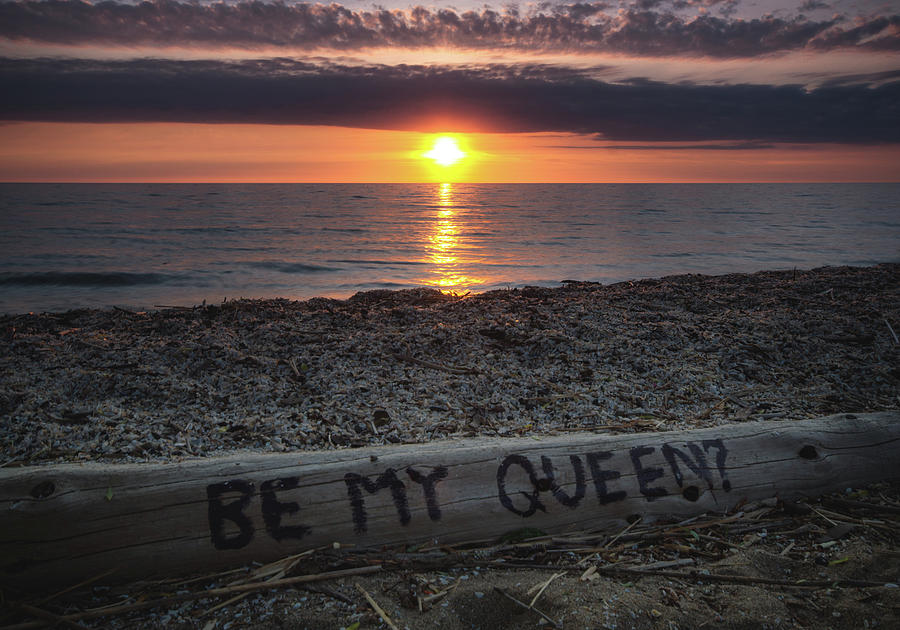 Be My Queen Photograph by Cale Best