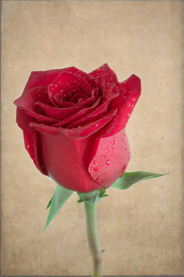 Be My Valentine by Garvin Hunter Be My Valentine by Garvin Hunter