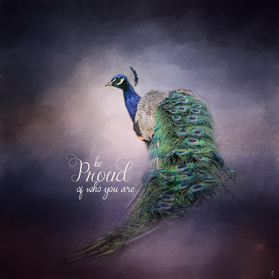 Be Proud - Peacock Art Photograph by Jai Johnson