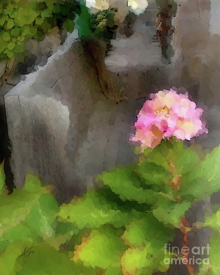 Flower Digital Art - Be Still by Anita Faye