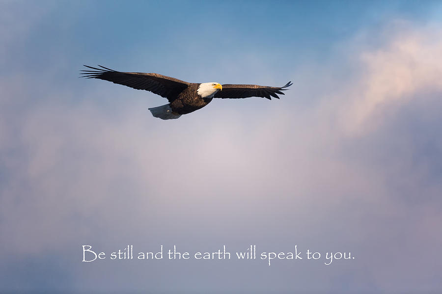 Inspirational Photograph - Be Still by Bill Wakeley