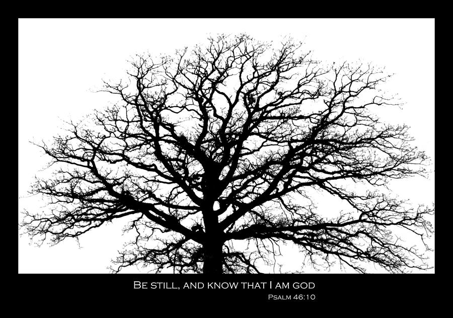 Inspirational Photograph - Be Still Tree by Inspired Arts