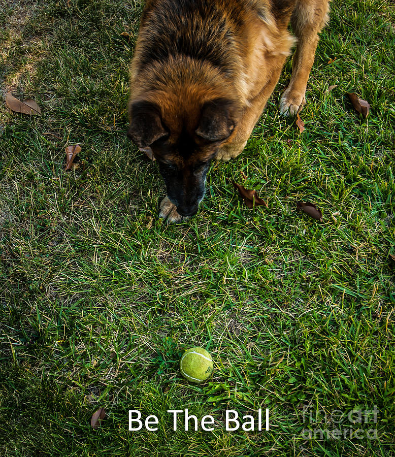 Be The Ball Photograph by Blake Webster