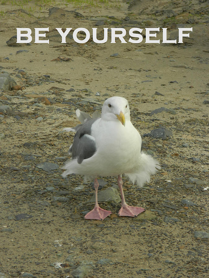 Be Yourself Photograph by Gallery Of Hope 
