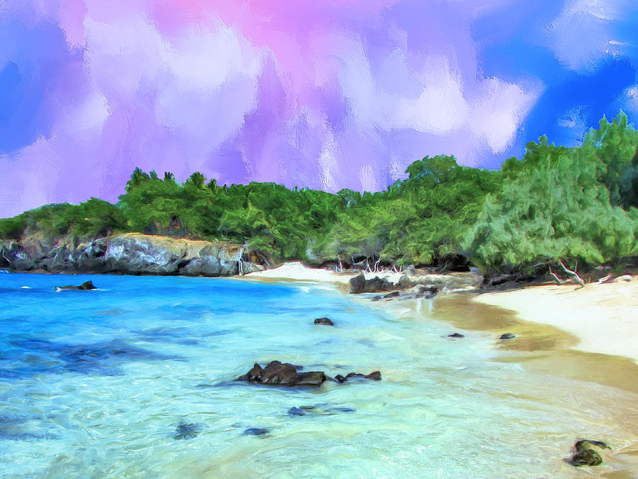 Paradise Painting - Beach 69 Big Island by Dominic Piperata
