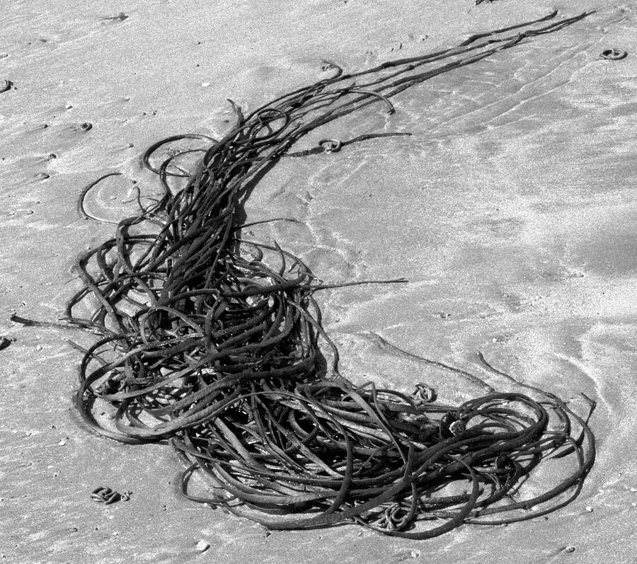 Beach Abstract Photograph by Clive Beake - Fine Art America