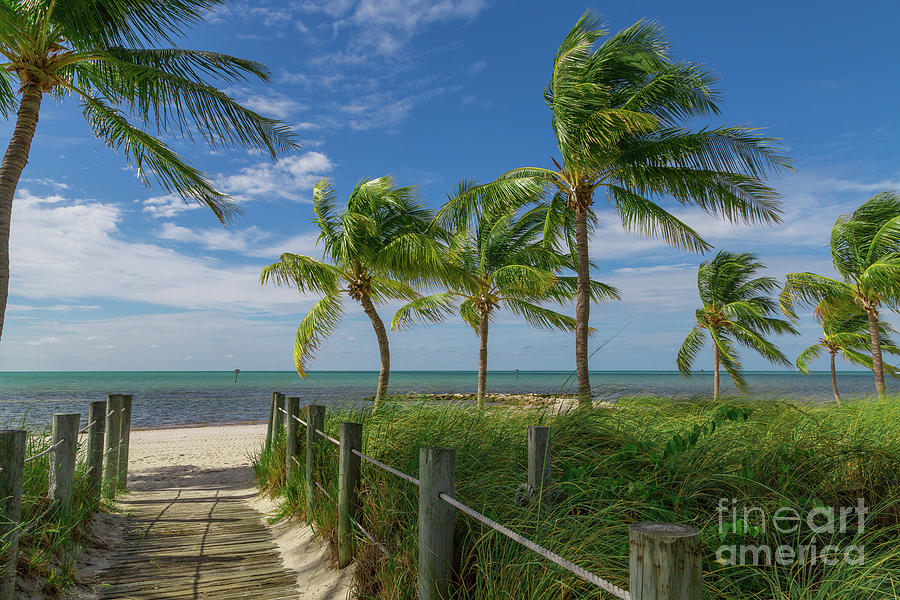Beach Access Smathers Beach Key West Florida Photograph by Kimberly Blom-Roemer
