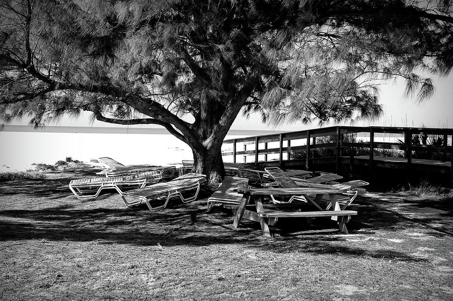 Beach and Lounge Chairs in Black and White  Photograph by Aimee L Maher ALM GALLERY