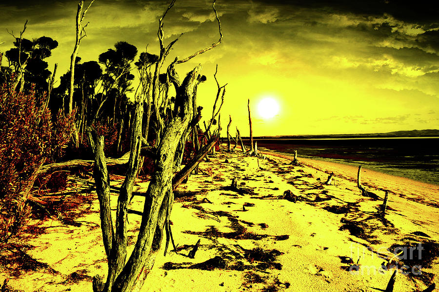 Beach Apocalypse Digital Art by Russell Alexander - Fine Art America