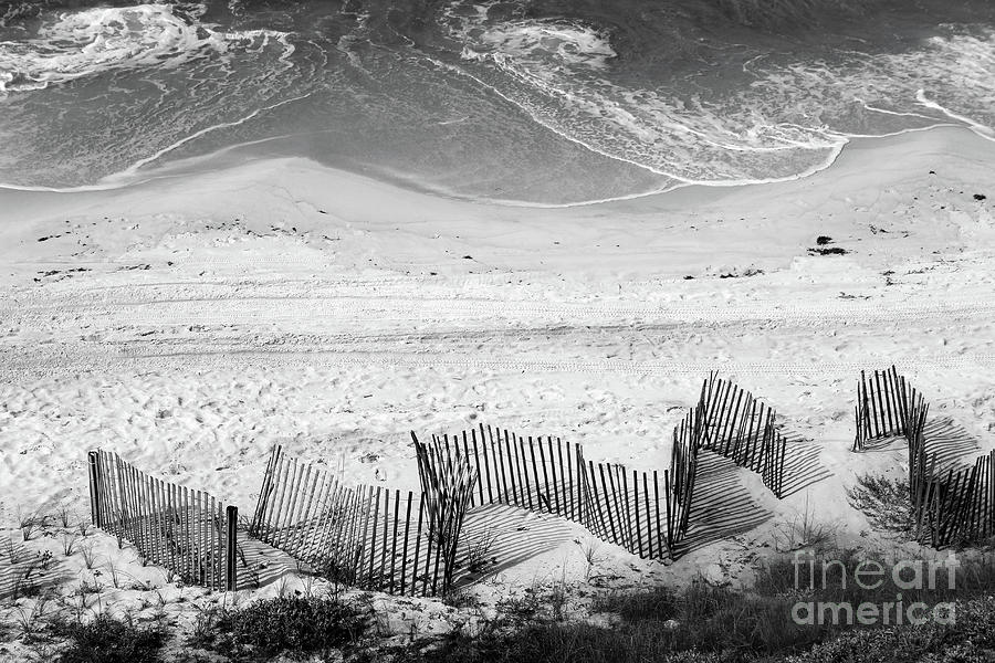 Beach Art Black and White Photograph by Karen Adams
