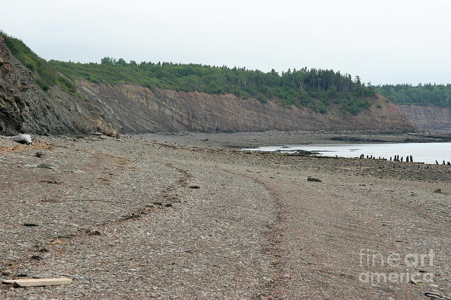 Beach At Joggins Nova Scotia Photograph by Ted Kinsman