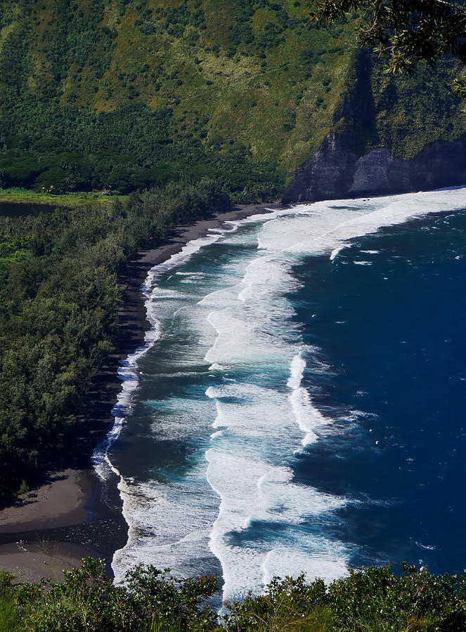 Beach at Waipio Valley Photograph by Pamela Walton - Fine Art America