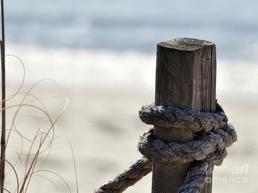 Beach Barrier Photograph by Al Powell Photography USA