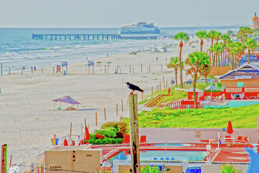 Beach Bird On A Pole Photograph