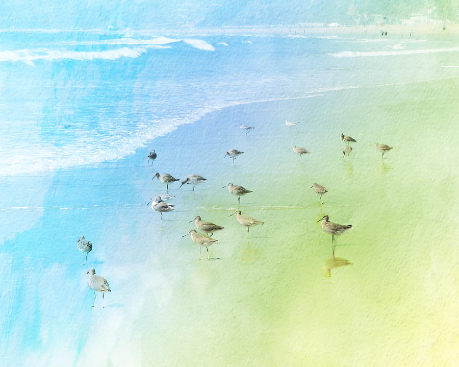 Bird Photograph - Beach Birds by Ken Reardon