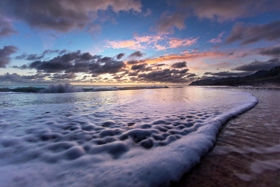 Nature Photograph - Beach Blanket by Sean Davey
