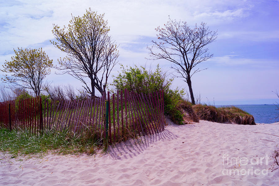 Beach Bound Photograph by Joe Geraci