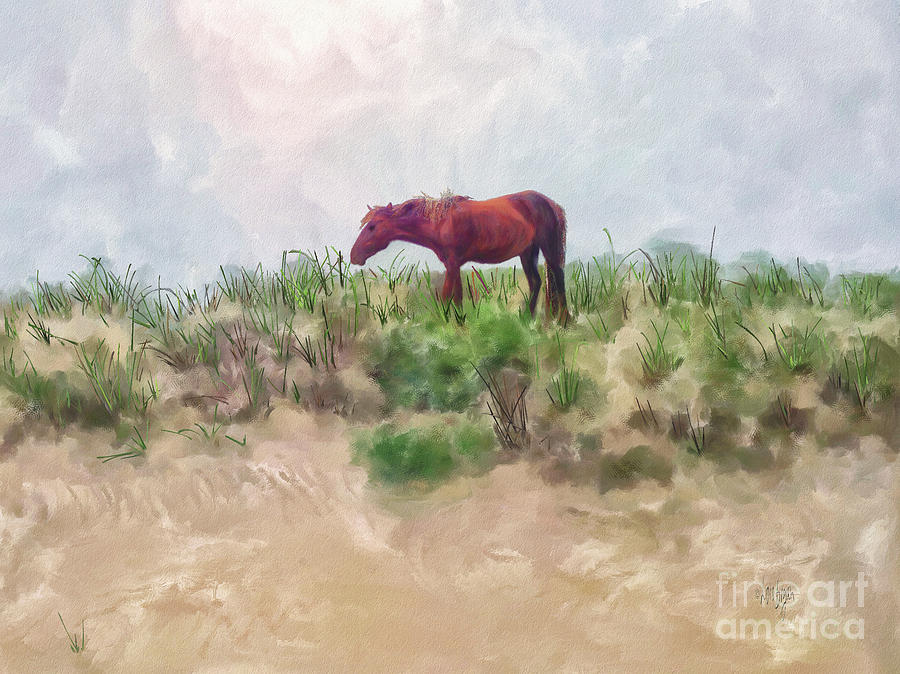 Horse Digital Art - Beach Boy by Lois Bryan