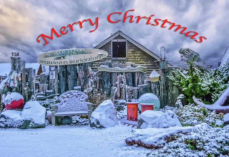 Beach Bungalow Christmas Photograph by Bill Posner