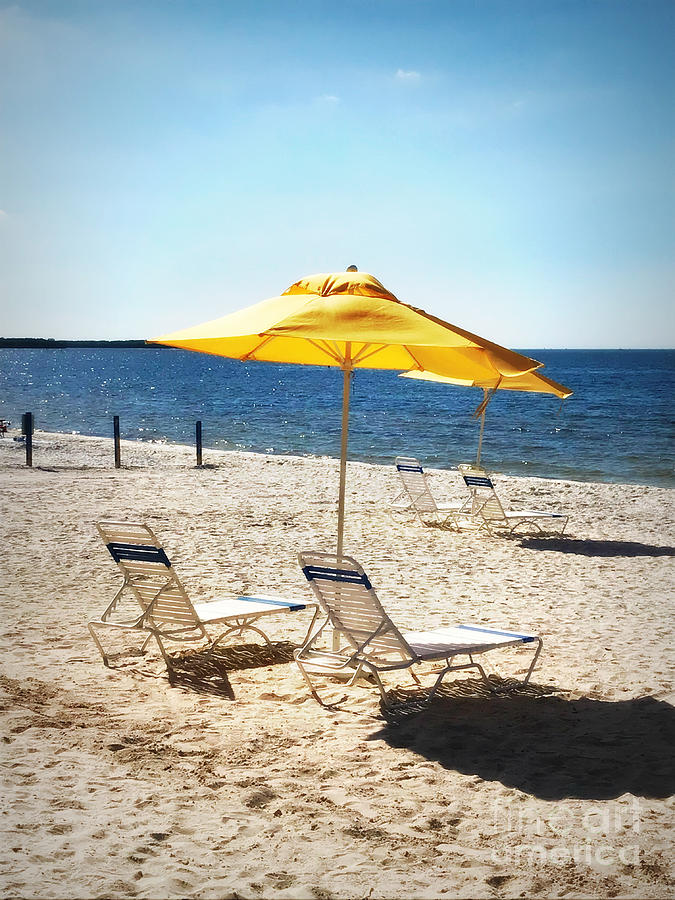 Beach Chairs Await Photograph by Carol Groenen