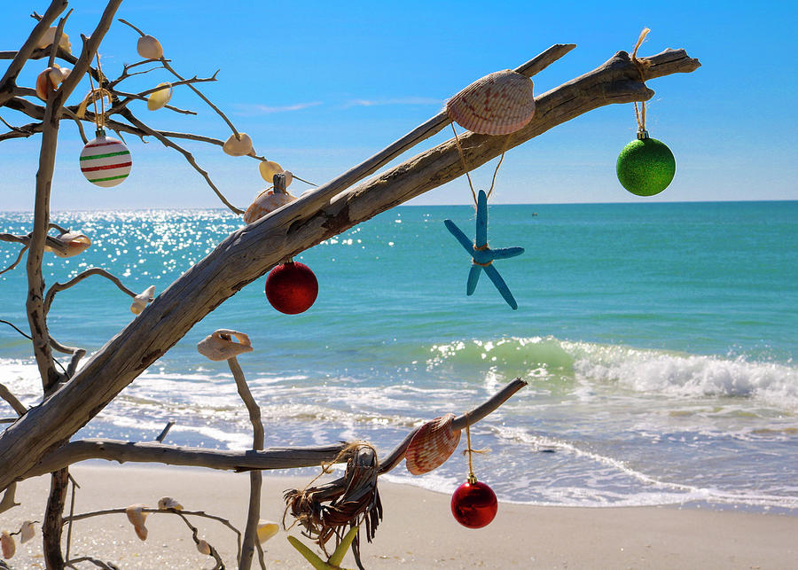 Beach Christmas Tree Photograph by Robert Wilder Jr