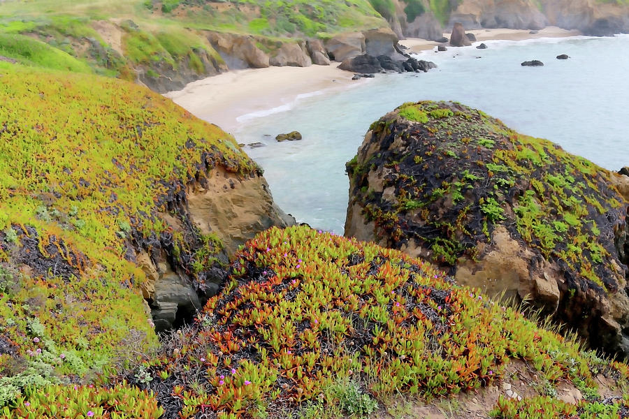 Beach Coves at Pigeon Point Photograph by Art Block Collections
