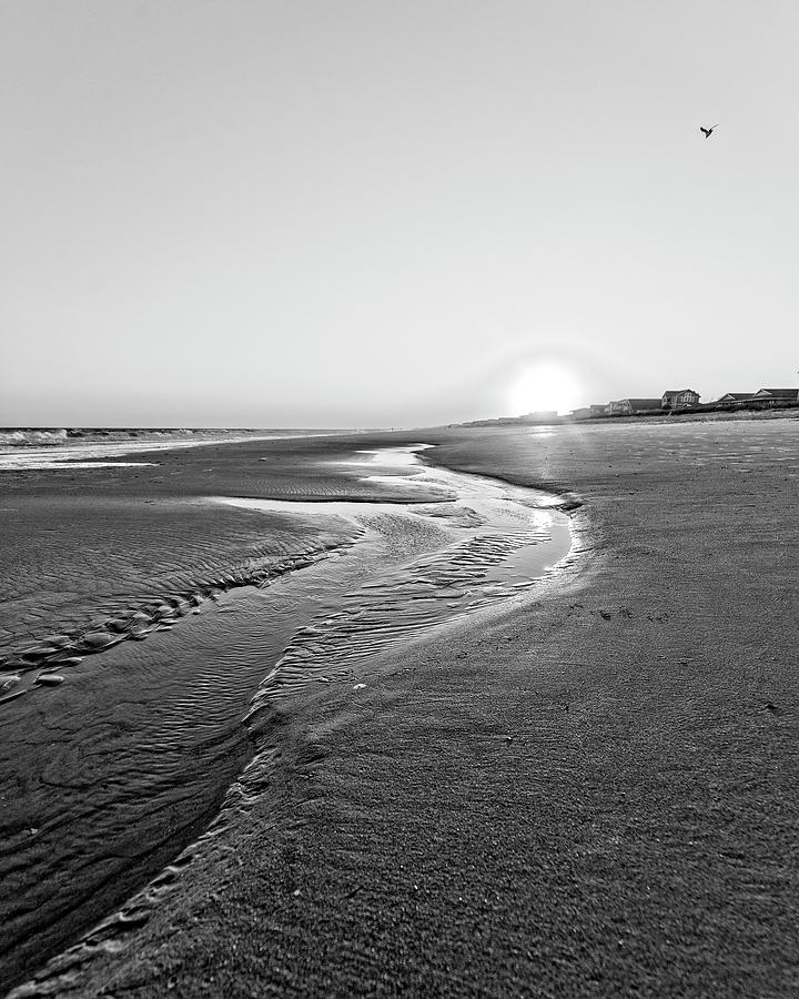 Beach Dawn Photograph by Alan Raasch