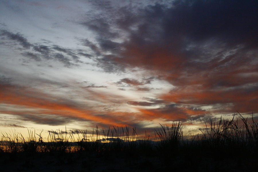Beach Dawn Photograph by Christopher J Kirby