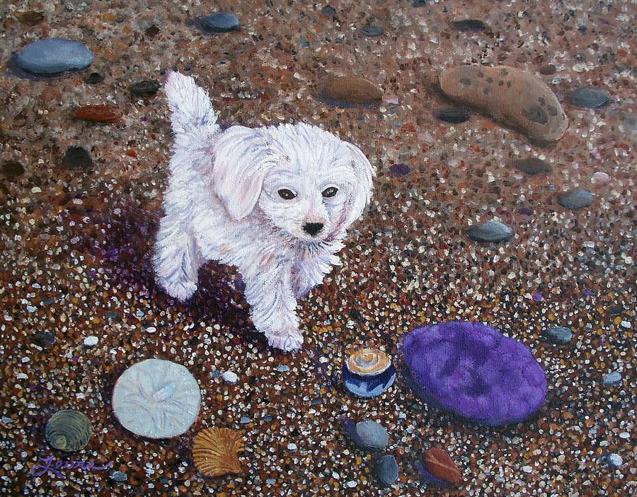 Shell Painting - Beach Discoveries by Laura Iverson