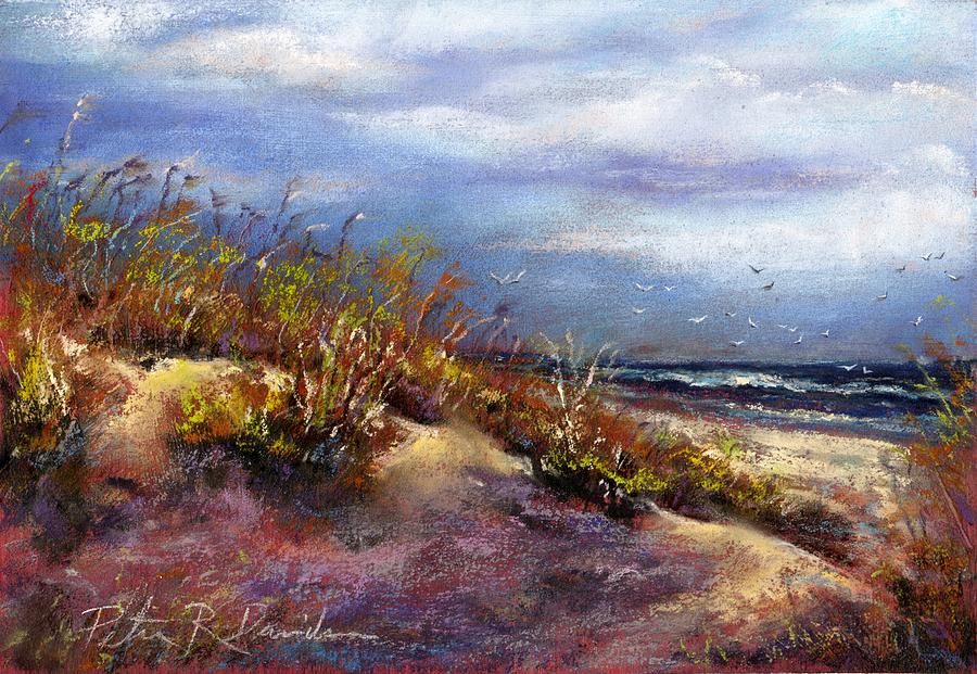 Beach Dune 1 Pastel by Peter R Davidson - Fine Art America