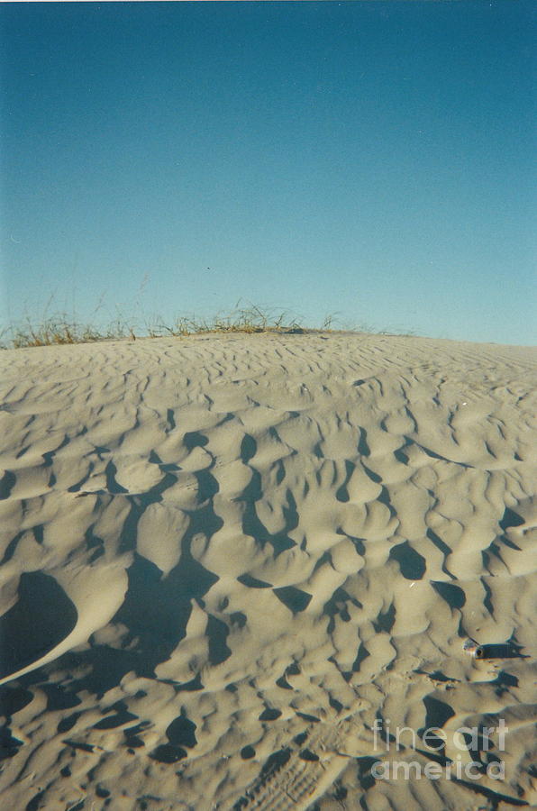 Jacksonville Photograph - Beach Dune by Cat Rondeau