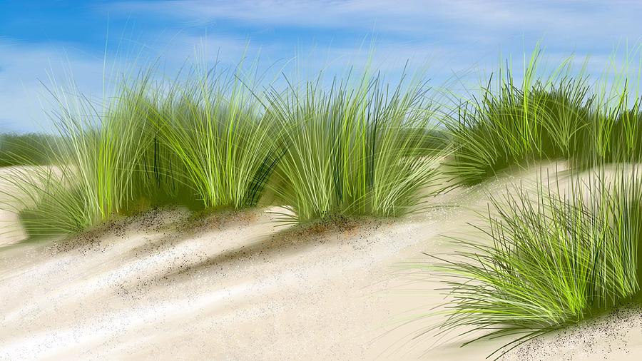 Beach dune path Digital Art by Anthony Fishburne